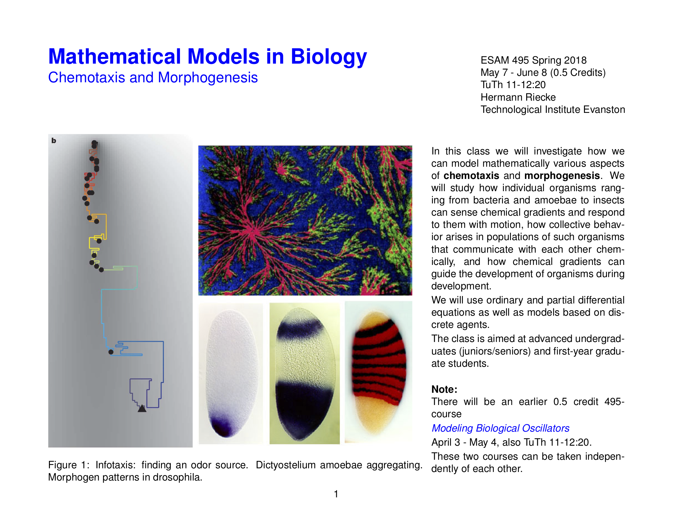 flier_biological_models.png